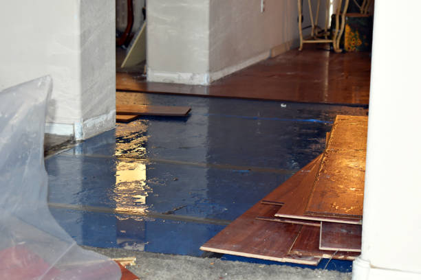 Professional Sewage Cleanup technician working in Rockland, WI